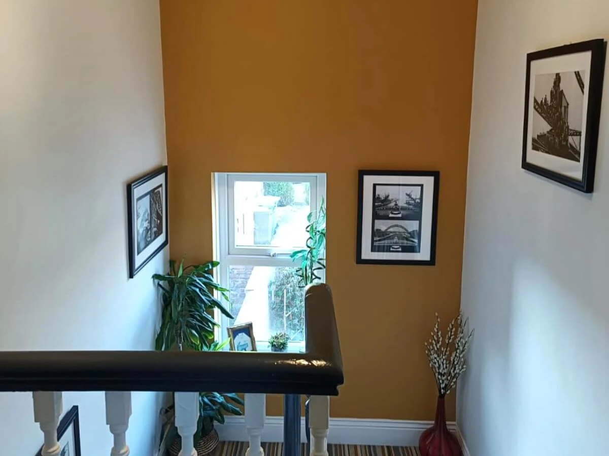 hallway walls painted newcastle tulip decor